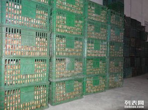 一万立方鸡蛋保鲜冷库造价与建设工程施工详解